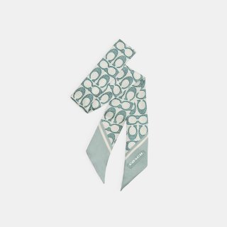 Coach Vintage Signature Print Silk Skinny Scarf - GREEN 1 Coach Vintage Signature Print Silk Skinny Scarf - GREEN 1