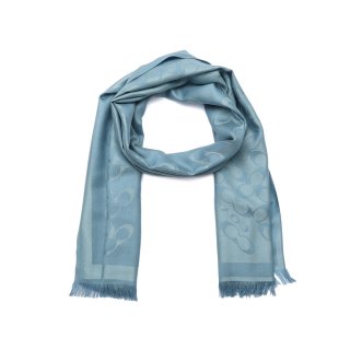 Coach Bias Signature C Oblong - Open Blue