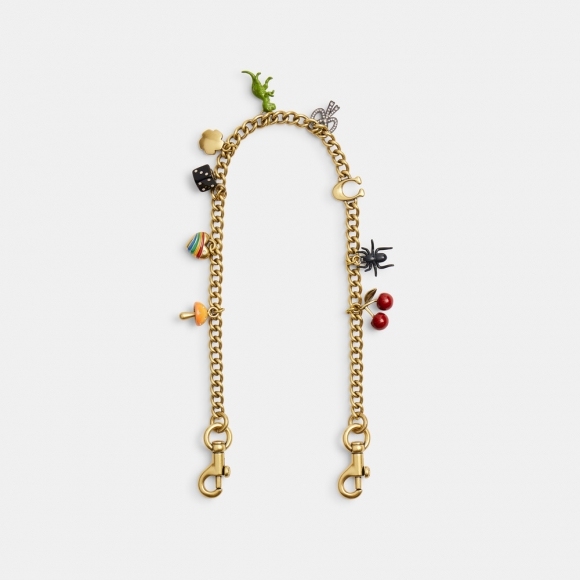 Coach Chain Strap With Charms - Multi Colour