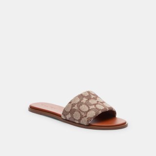 Coach Holly Sandal In Signature Textile Jacquard - Brown Coach Holly Sandal In Signature Textile Jacquard - Brown