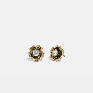 Coach Mini Tea Rose 2-in-1 Stud Earrings - Gold