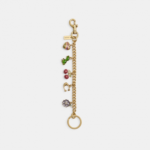 Coach Motif Chain Bag Charm - Multi Colour