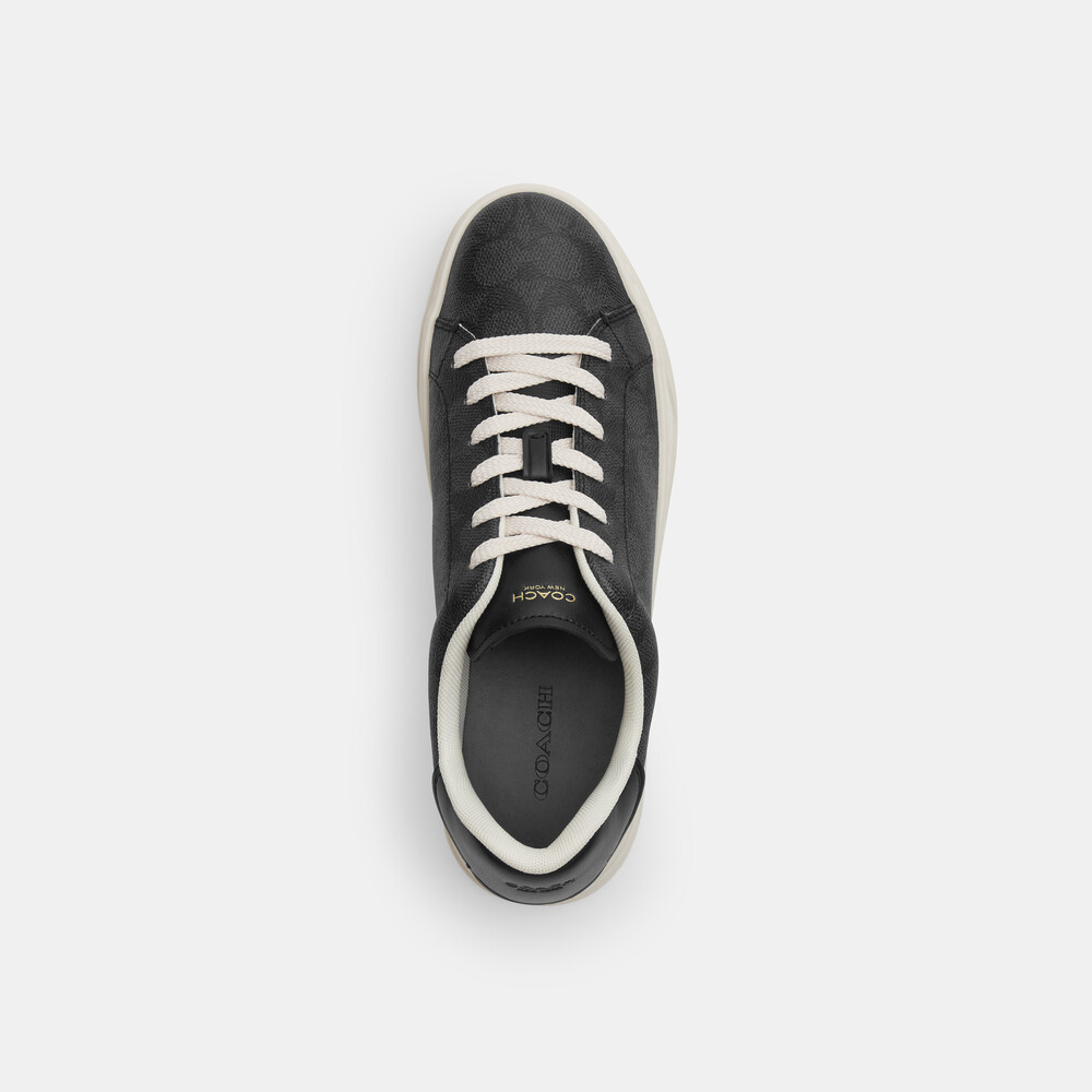 Coach High Line Sneaker In Signature Canvas - Black