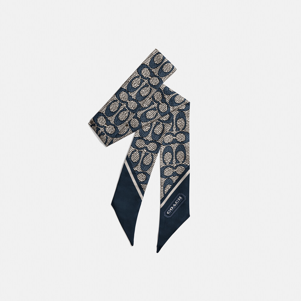 Coach Vintage Signature Print Silk Skinny Scarf - Navy