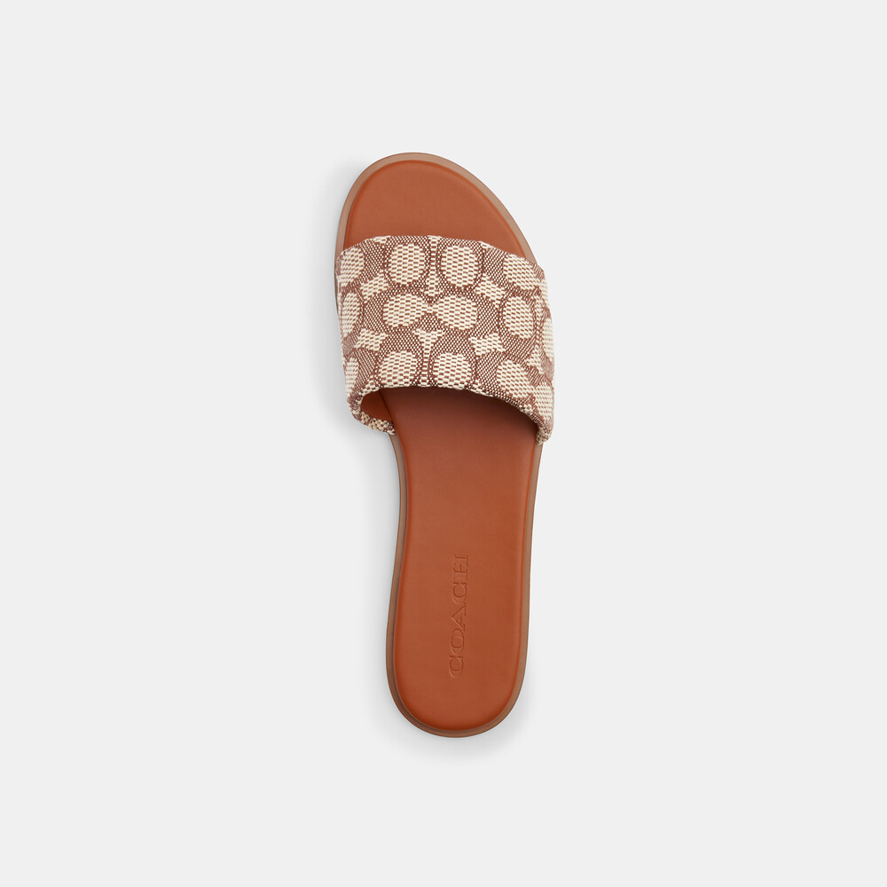 Coach Holly Sandal In Signature Textile Jacquard - Brown